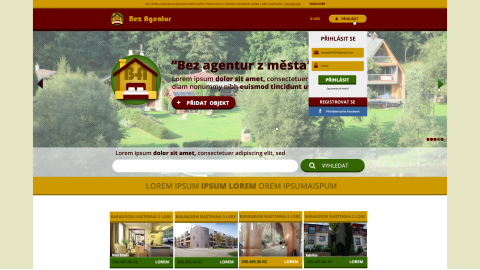 Grafický návrh webu